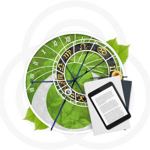 Personare_Icone_MP_Grande