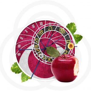 Personare_Icone_MS_Grande