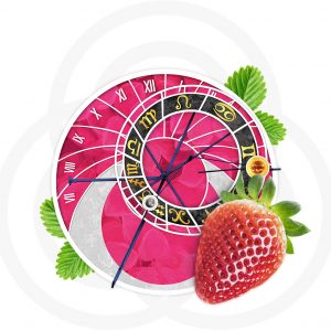 Personare_Icone_SA_Grande